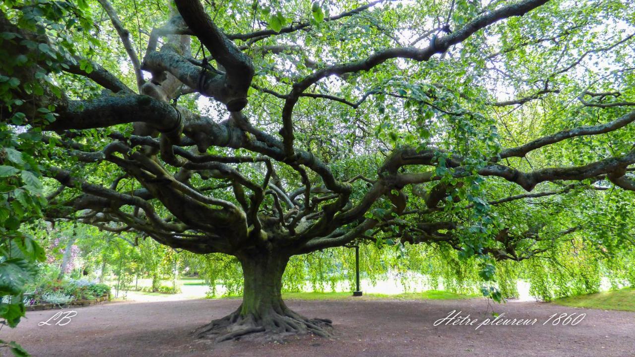 Pierre De Lune Bayeux Exteriör bild